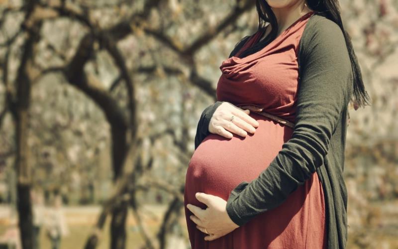 Crafting Resilience: Nurturing Maternal Well-being through Tailored Pregnancy Support